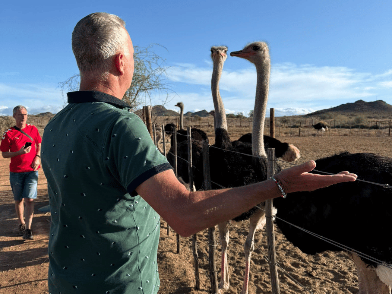 Oudtshoorn