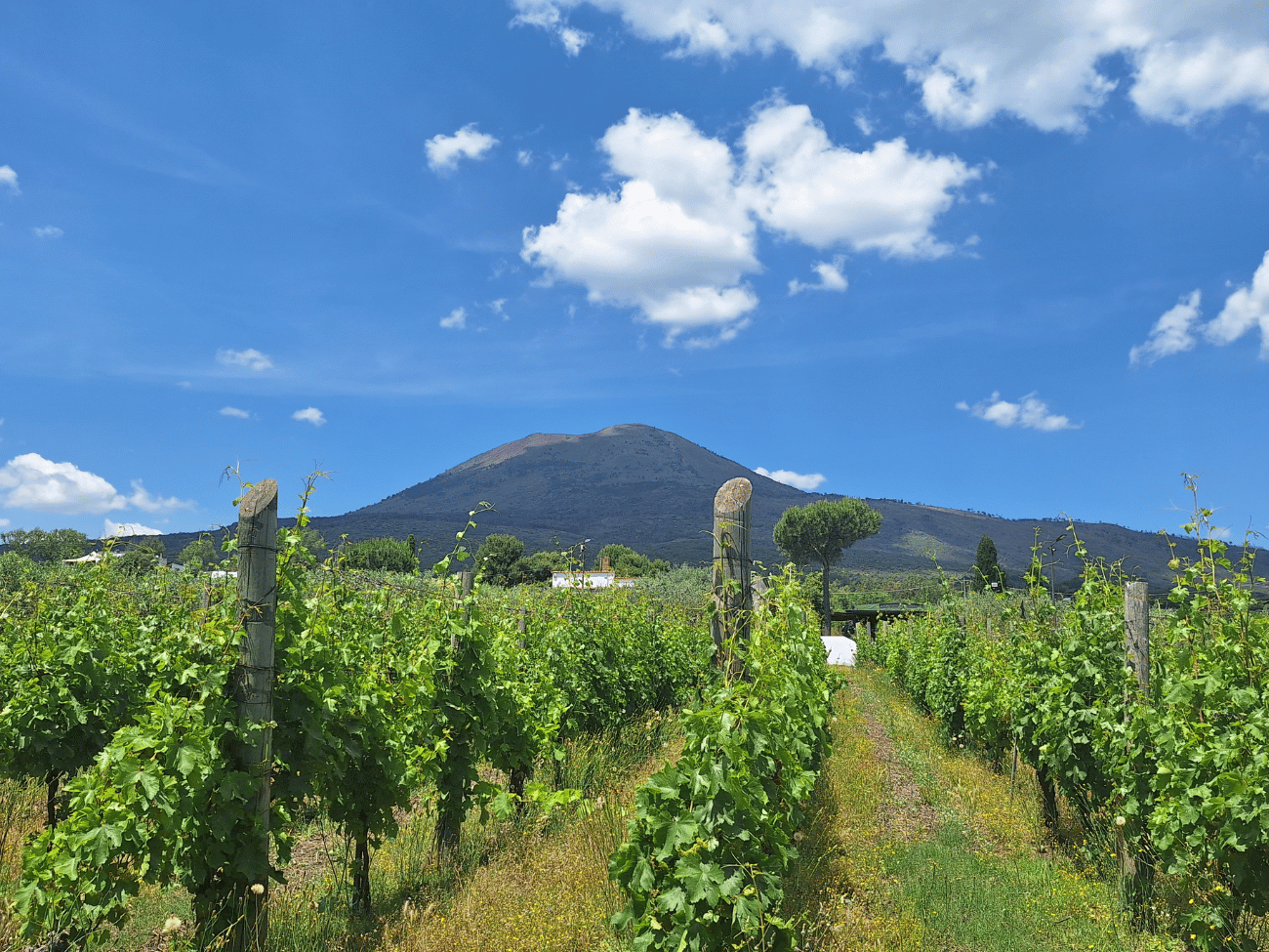 Mount Vesuvius