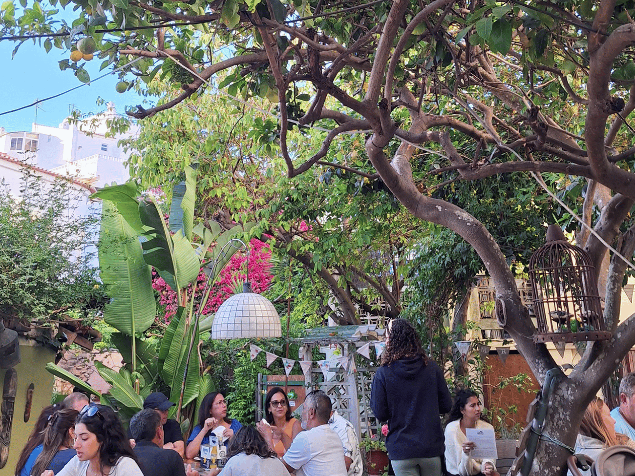 The garden