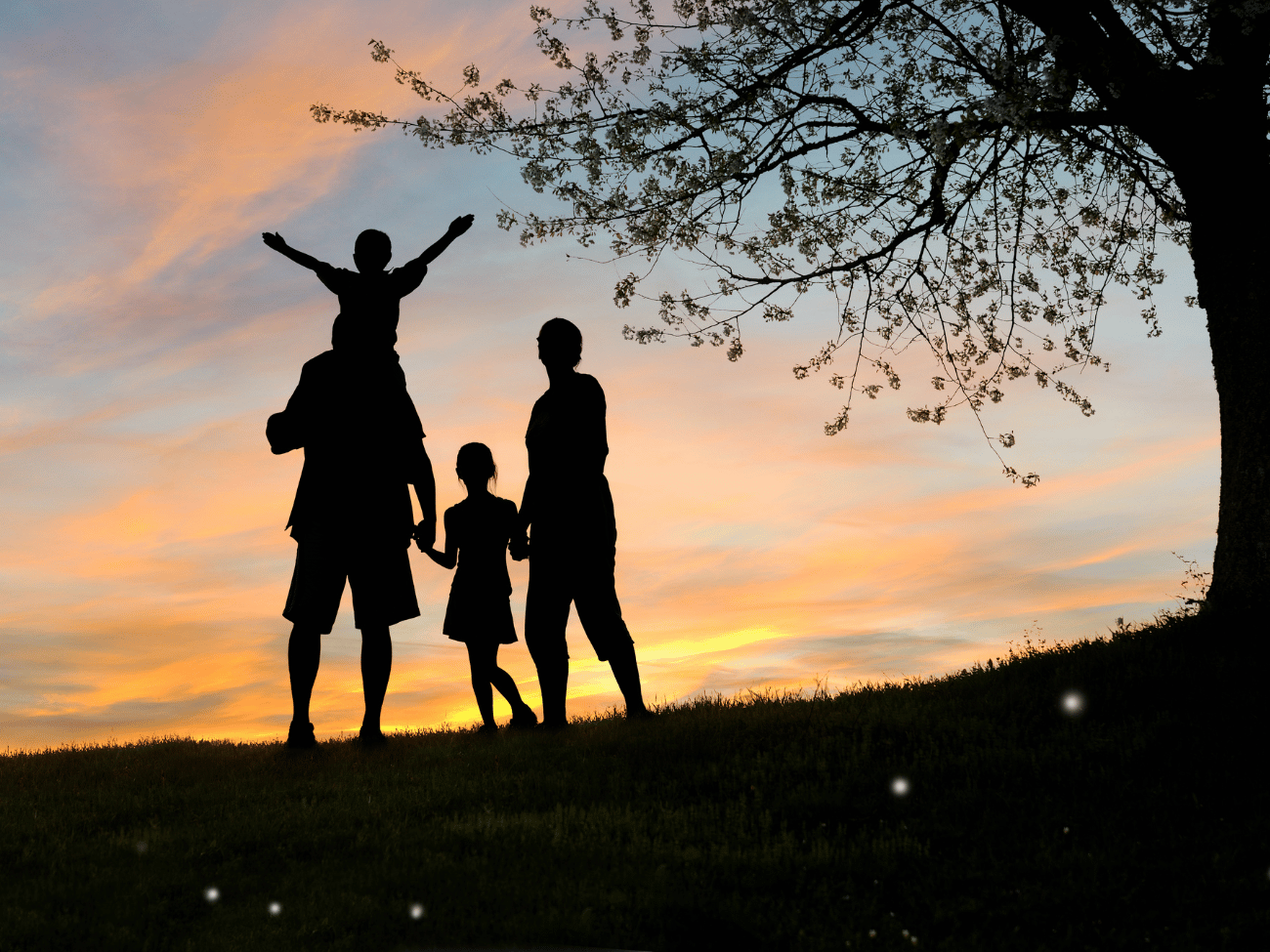 Familiereizen