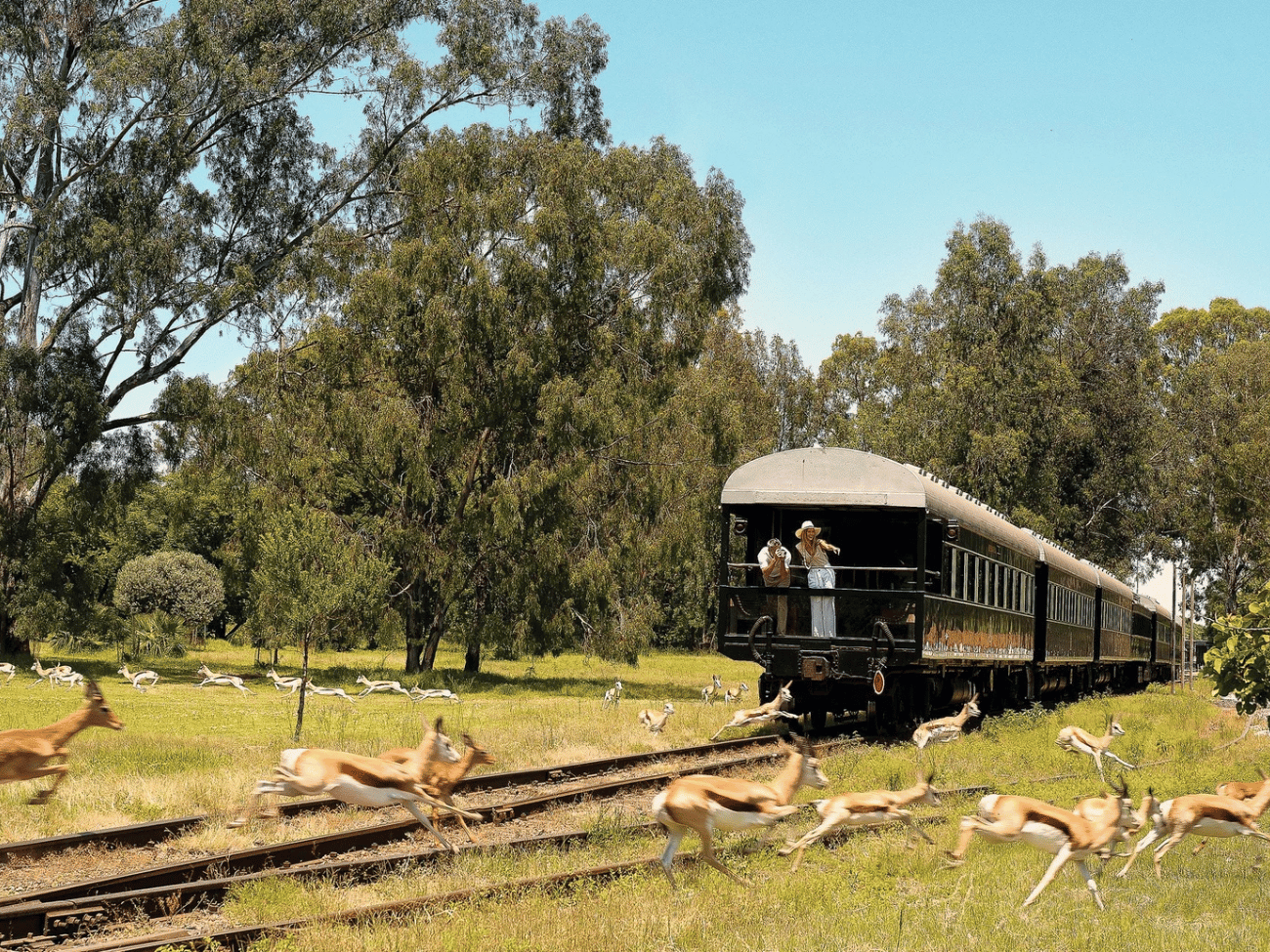 Treinreizen