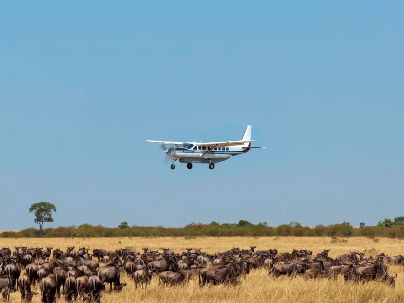 Aircruises