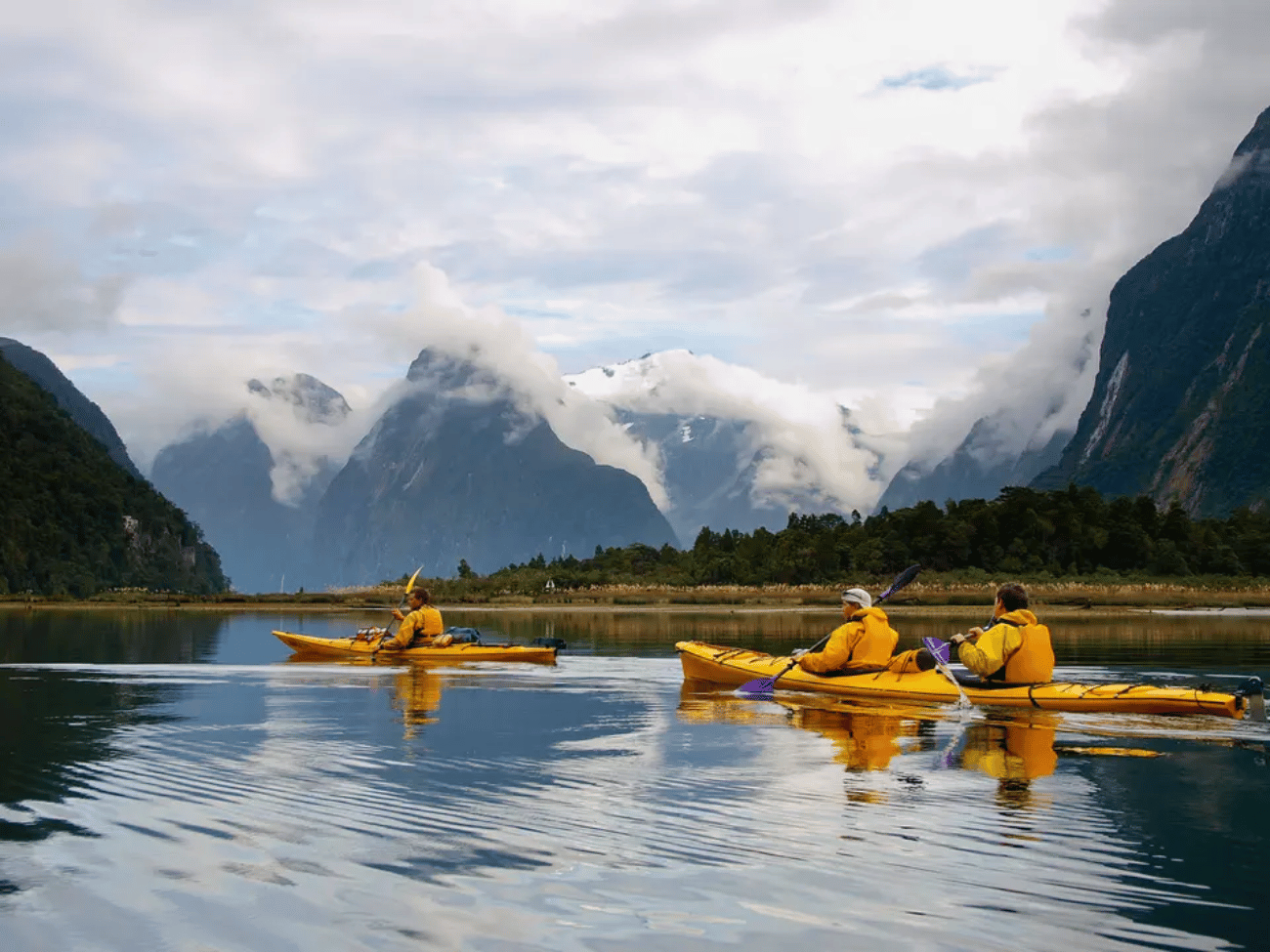 Cruise & Kajak Milford Sound vanuit Te Anau - Nieuw-Zeeland