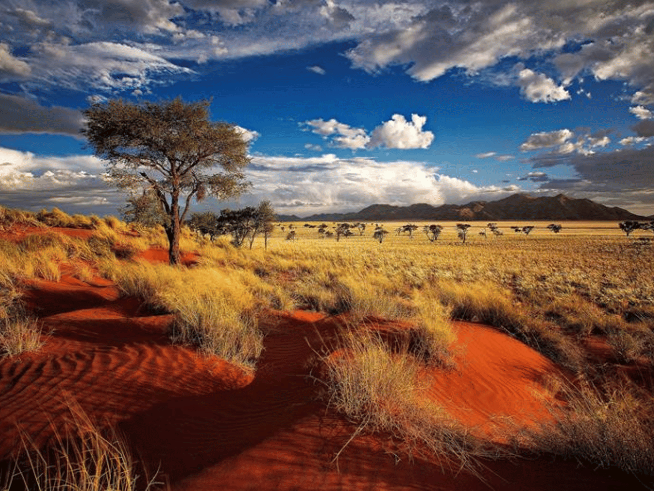 Namibië