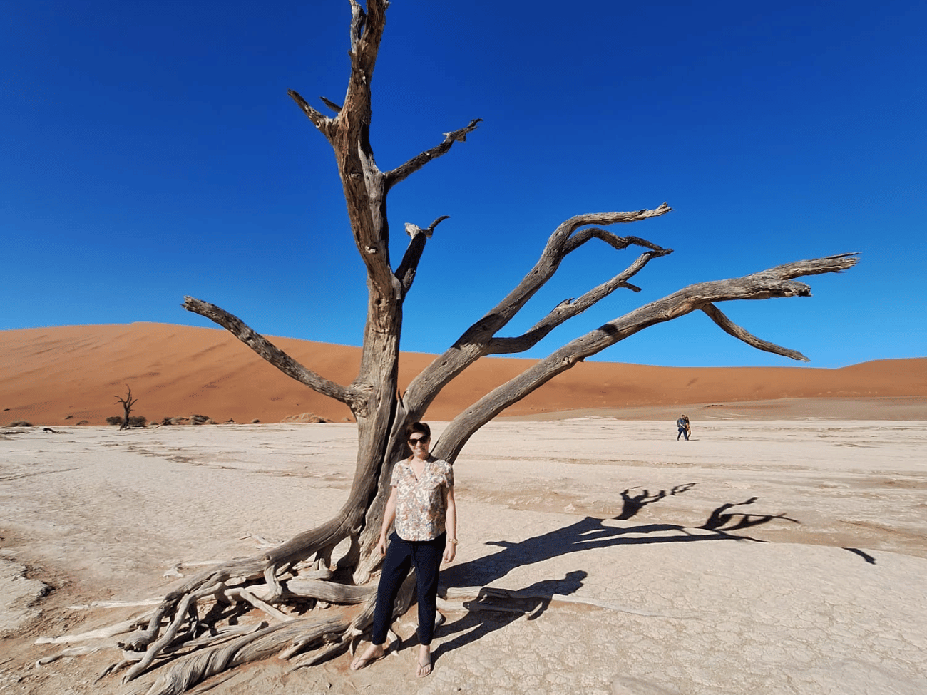 Deadvlei 