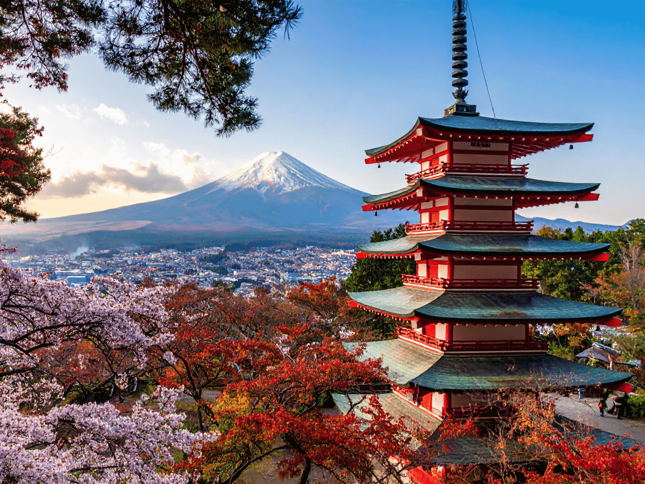 Groepsrondreis Japan