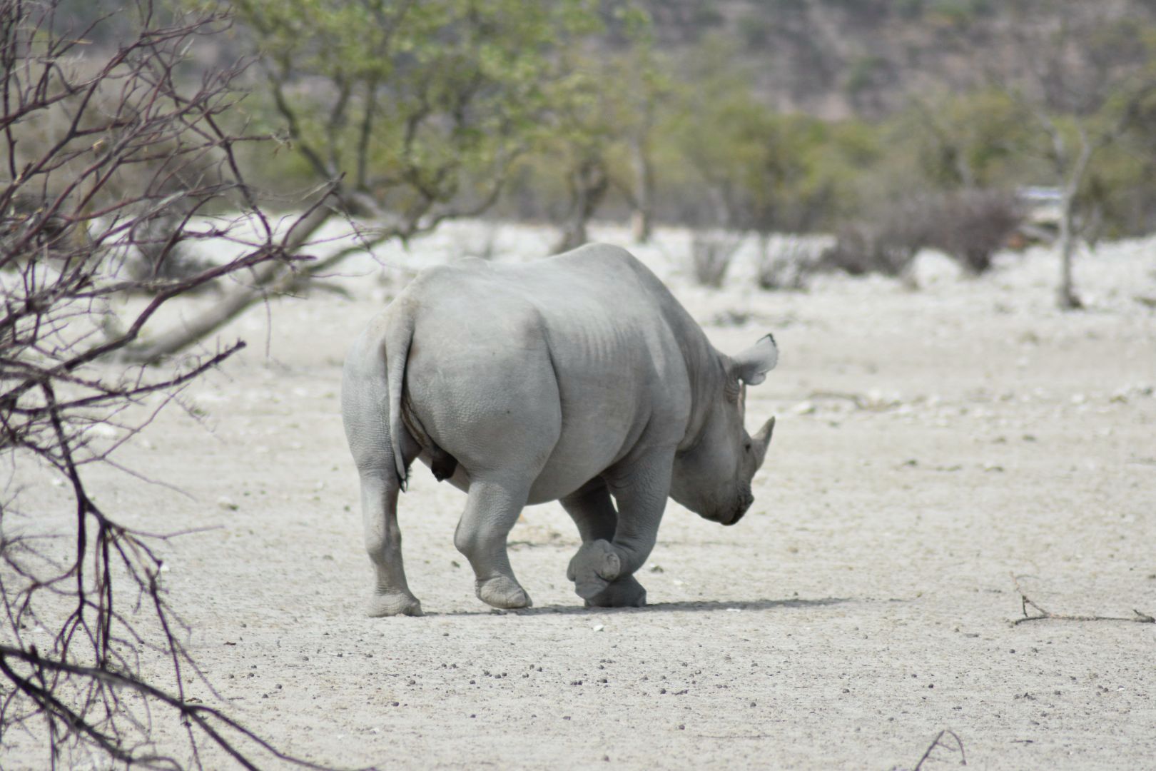 Ongava Private Game Reserve